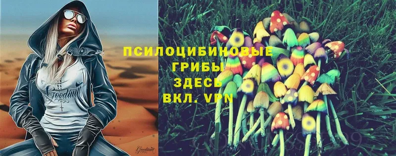 купить закладку  Карабаново  Галлюциногенные грибы MAGIC MUSHROOMS 